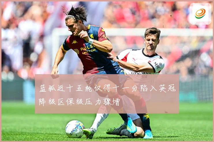 蓝狐近十五轮仅得十一分陷入英冠降级区保级压力骤增